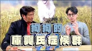 '23.01.02【全能狗S 寵物當家】宋子揚獸醫師談「狗狗的庫興氏症候群」