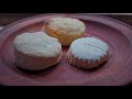 the evolution of the biscuit from potash to baking soda 18th century cooking