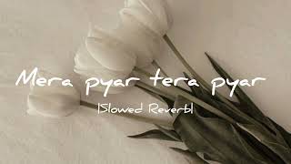Mera pyar tera pyar | Jalebi | Arijit Singh | Slowed Reverb | by Musical vibes |