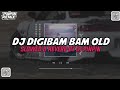 DJ DIGIBAMBAM OLD SLOWED + REVERB |DJ PINPIN RMX