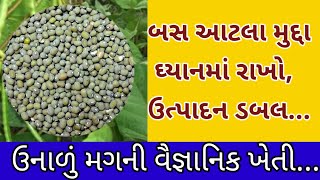 ઉનાળુ મગની ખેતી કેવી રીતે કરશો | Mung kheti | Mung farming