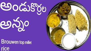 అండుకొర్రల అన్నం||Browntop millet rice