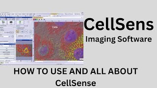 CellSens. All about CellSens. Olympus microscope camera software