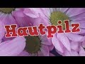 Hautpilz