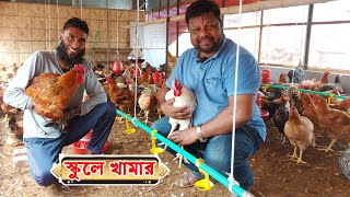 স্কুলের ছাদে মুরগির খামার, উদ্যোগটা ব্যতিক্রম || 01988883103 || টাইগার মুরগি পালন