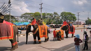 เปลี่ยนบรรยากาศ มาชม ขบวนแห่งานสักการะสมเด็จพระนเรศวรมหาราช จ.หนองบัวลำภู จัดงาน 21-27 มีนาคม 2565