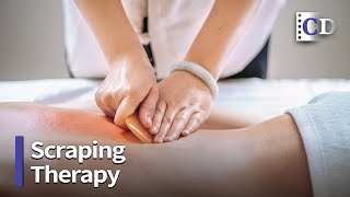 Scraping Therapy Gua Sha | Guide into Traditional Chinese Medicine