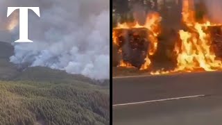 Firefighters battle wildfire on Tenerife