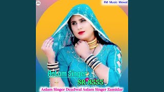 Aslam Singer SR 8555