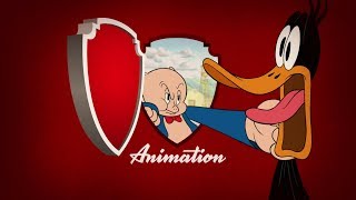 Warner Bros. Pictures/Warner Bros. Animation/DC Comics (2018)