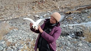 Helping Dad at Tarchit's Ice Stupa \u0026 making  old traditional Ladakhi. momos!\