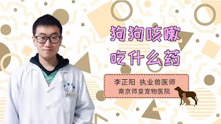 狗狗咳嗽吃什么藥