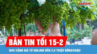 Bản tin tối 15-2: Nho cảnh giá từ 500.000 đến 2,5 triệu đồng/chậu