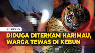 Pemuda Mukomuko Ditemukan Tewas di Kebun Kelapa Sawit, Polisi Duga Akibat Serangan Harimau