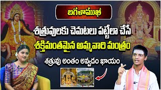 శత్రువులకు చెమటలు పట్టేలా చేసే శక్తిమంతమైన అమ్మవారి మంత్రం| దశ మహా విద్య | Praveen Kumar Sharma | bb