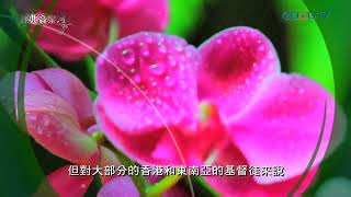 神未曾應許 God Hath Not Promised   词 Annie Johnson Flint / 曲 William M. Runyan    合唱 传爱之家