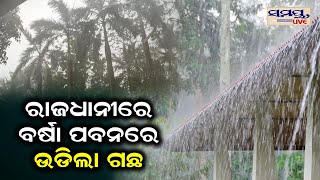 ରାଜଧାନୀରେ ବର୍ଷା ପବନରେ ଉଡିଲା ଗଛ | live video | Odia News Live Updates | Latest Odia News | Samayalive