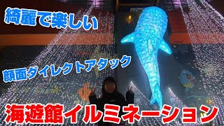 夜の海遊館がキラキラしてて楽しかった【イルミネーション】