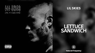 Lil Skies - Lettuce Sandwich (432Hz)