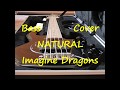 Imagine Dragons - Natural (BASS COVER)