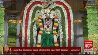 அருள்மிகு தியாகராஜ சுவாமி திருக்கோயில்  நவராத்திரி விழா - திருவாரூர்