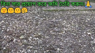 বিনা সার প্রয়োগ করে জমি তৈরি করুন। বিনামূল্যে।😯😮🙏🤔🙏🙏💸