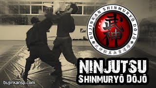 Ninjutsu | 真剣形 Shinken Gata (Forma Real) - Defesa Pessoal (Self Defense)