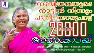 നഞ്ചിയമ്മയുടെ നാട്ടിൽ നിന്നും ഒരു കിടിലൻ നാടൻ പാട്ട് | Amarakkayi | Nadanpattu | Nanjamma Song