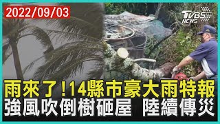 雨來了!14縣市豪大雨特報　強風吹倒樹砸屋...陸續傳災 | 十點不一樣 20220903