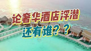 马尔代夫奢华酒店当中的浮潜之王，坎多卢岛Kandolhu Island Resort