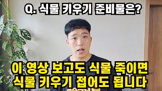 이거 보고도 식물 죽이면 식물 키우기 접어도 됨