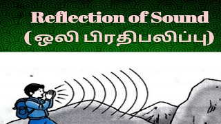 Reflection of Sound / ஒலி பிரதிபலிப்பு