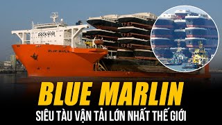 SIÊU TÀU VẬN TẢI BLUE MARLIN LỚN NHẤT THẾ GIỚI | VẬN CHUYỂN ĐƯỢC CẢ GIÀN KHOAN NẶNG 60.000 TẤN