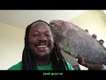 unboxing my catch of the day fish from billingsgate market tilapia fish