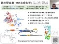 【研究室紹介】東京大学 バイオエンジニアリング専攻・化学生命工学専攻 鈴木研究室