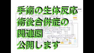 【成人看護学実習対策】アセスメントができる！報告ができる！看護を考えられる！