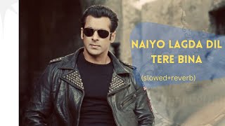 Naiyo Lagda  New Song (slowed+reverb) Kisi Ka Bhai Kisi Ki Jaan | Salman Khan & Pooja.#lofi #music