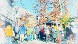 【今日の湯布院】晴天の月曜日も凄い事に　由布院駅から湯の坪街道を一周　#湯布院 #yufuin #유후인