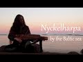 Nyckelharpa by the Baltic sea