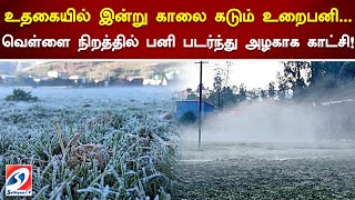 உதகையில் இன்று காலை கடும் உறைபனி...வெள்ளை நிறத்தில் பனி படர்ந்து அழகாக காட்சி! | nilgiris