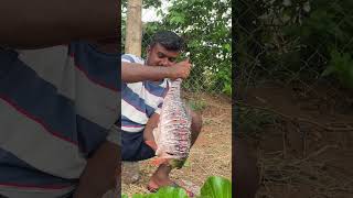 Big Siz Rohu Fish Any Fish Lover mama bros 🤤 మంటలో చేప మొత్తం కాల్చుకొని తిన్నం మామ bros #fishing