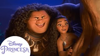 Momentos Divertidos de Moana e Maui | Disney Princesa