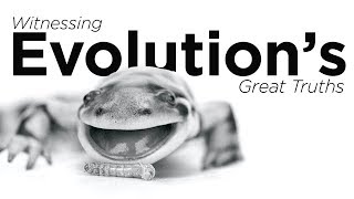 Witnessing Evolution's Great Truths | UConn