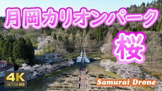 月岡カリオンパーク　桜　月岡温泉　もっと美人になれる温泉　新潟県新発田市　【ドローン空撮 ４Ｋ絶景映像】　60fps　２０２４年０４月