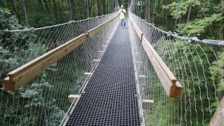 Hidden Lake Gardens Canopy Walk, Tipton, Michigan