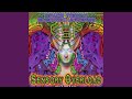 Sensory Overload (Original Mix)