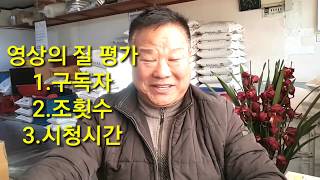 맞구독/ 초보 유트브 맞구독