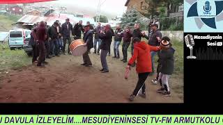 ARMUTKOLU KÖYÜ  YAYLA ŞENLİK