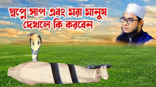 স্বপ্নে সাপ এবং মরা মানুষ দেখলে কি করবেন shahidur rahman mahmudabadi new waz মাহমুদাবাদী