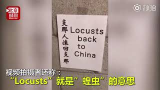 美国高端公寓惊现歧视中国人标语？继续黑，许四多，你以为不露脸就不知道是你啦